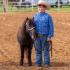 Hernando Saddle Club